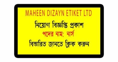 Maheen Dizayn Etiket Ltd Nurse Job
