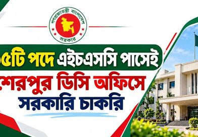 ১৫টি পদে এইচএসসি পাসেই শেরপুর ডিসি অফিসে সরকারি চাকরি